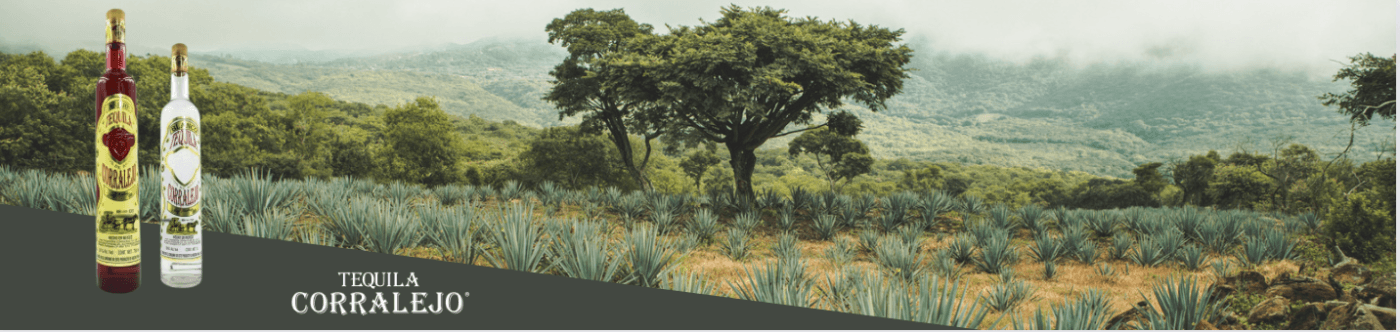 Bienvenidos a la experiencia única de Tequilera Corralejo: donde la historia y la calidad se funden en cada gota