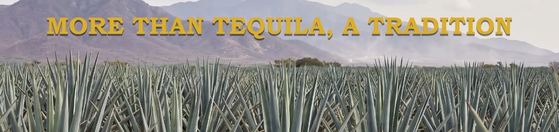 Tequilera Hacienda Vieja